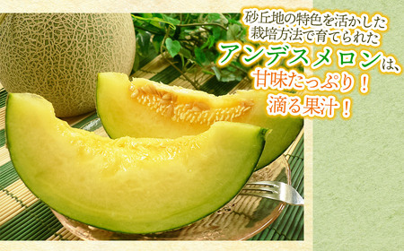 【令和8年産先行予約】 アンデスメロン 秀品 約5kg (3～5玉) 山形県鶴岡市産　株式会社 元青果
