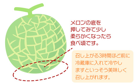 【令和8年産先行予約】 アンデスメロン 秀品 約5kg (3～5玉) 山形県鶴岡市産　株式会社 元青果