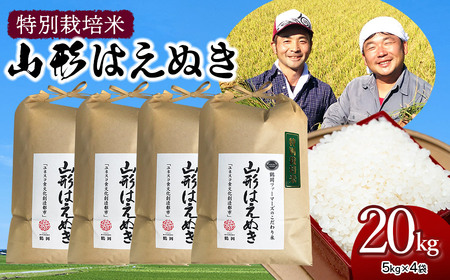 【令和6年産先行予約】特別栽培米 山形はえぬき精米20kg(5kg×4袋)　山形県鶴岡市産　鶴岡ファーマーズ