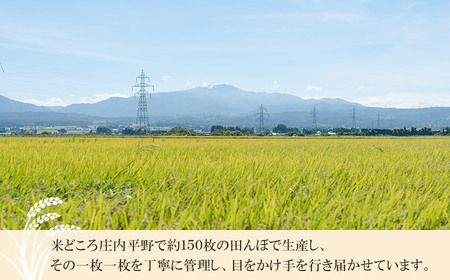 【令和5年産】 井上農場の特別栽培米つや姫【玄米】12kg（5kg×2袋＋2kg×1袋） B15-001