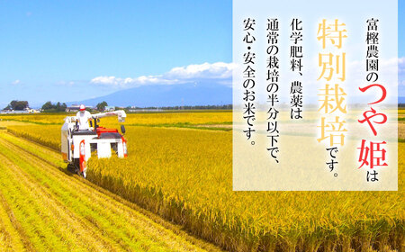 【令和6年産 先行予約】 富樫農園の特別栽培米つや姫精米10kg（5㎏×2袋） A56-002