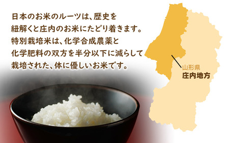 【令和5年産】 特別栽培米つや姫5kg＋雪若丸5kgセット 鶴岡米穀商業協同組合
