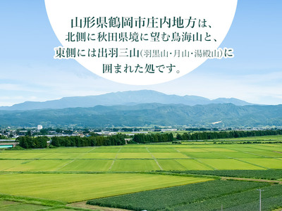 【令和5年産】 山形県庄内産 特別栽培米 つや姫10kg（5kg×2） 鶴岡米穀商業協同組合