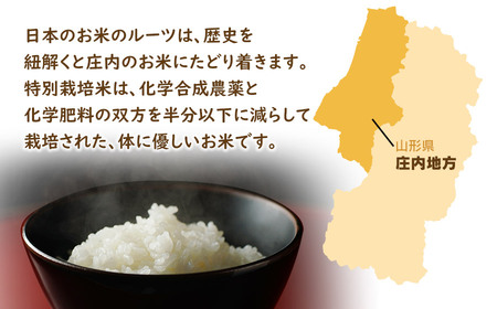 令和5年産】新米 山形県庄内産 特別栽培米つや姫10kg（5kg×2）【6回