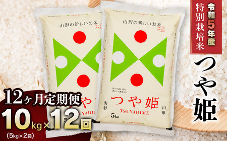 令和5年産】新米 山形県庄内産 特別栽培米つや姫10kg（5kg×2）【12回