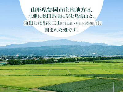 【令和6年産】雪若丸10kg（5kg×2） 山形県庄内産　鶴岡米穀商業協同組合