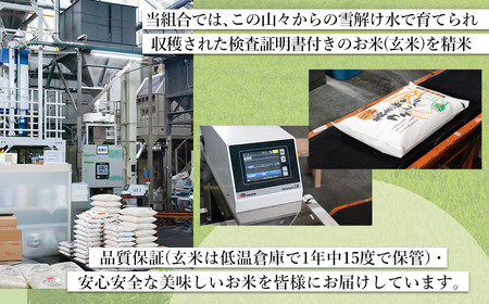 【令和6年産】雪若丸10kg（5kg×2） 山形県庄内産　鶴岡米穀商業協同組合