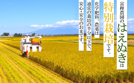 【令和6年産】 富樫農園の特別栽培米はえぬき玄米10kg（5㎏×2袋）A26-004
