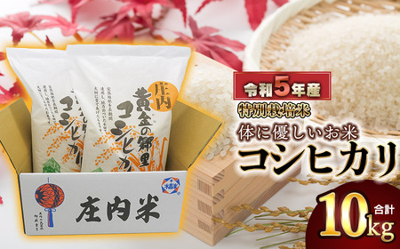 【令和5年産】 庄内産 特別栽培米 体に優しいお米・こしひかり10kg（5kg×2） 鶴岡米穀商業協同組合