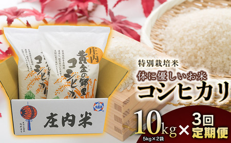 【3回定期便】【令和7年産】 特別栽培米 体に優しいお米・こしひかり 10kg(5kg×2)×3回 山形県庄内産　鶴岡米穀商業協同組合