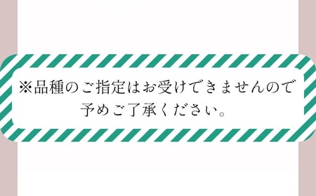 【令和8年産先行予約】JA庄内たがわの桃 (品種おまかせ) 約2kg(5~9玉入) 鶴岡市羽黒地域産 K-830