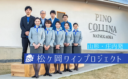 白ワイン　Vestito Cielo 2024　750ml×1本　株式会社エルサン　国産 日本ワイン