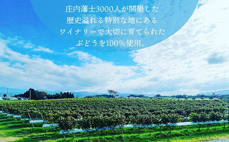 白ワイン　Vestito Cielo 2024　750ml×1本　株式会社エルサン　国産 日本ワイン