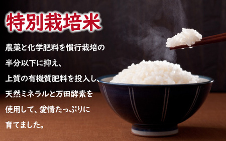 【食べ比べ】酵素米　ミルキークィーンなど４銘柄　計玄米２０Kg「白米に精米」米