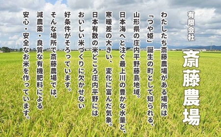 【令和7年産】【新米】斎藤農場の特別栽培米 雪若丸 精米 5kg(5kg×1袋) 山形県鶴岡市 [K-756]
