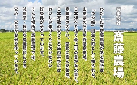 【令和6年産】 斎藤農場の特別栽培米 つや姫 玄米 10kg(5kg×2袋) 山形県鶴岡市 K-666