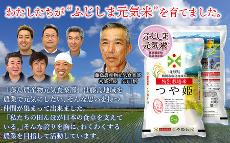 【令和7年産】【新米】【6ヶ月定期便】特別栽培つや姫 ふじしま元気米 精米 10kg(5kg×2袋)×6回 【毎月発送】合計60kg