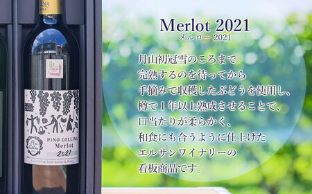 数量限定！】G7広島サミット採用ワイン 「メルロー2021」「鶴岡甲州