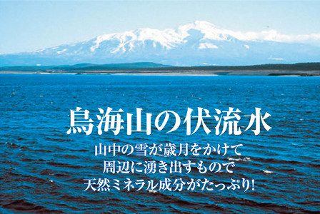 SA1955　天然塩 酒田の塩の「ワイン塩3種(赤・白・ロゼ)」＆「酒かす塩」＆「酒田の塩(プレーン)」 5種セット