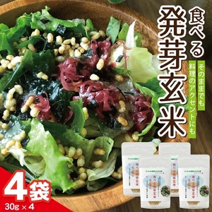 SZ0211　【ちっちゃな農家の大きな夢】 手軽に玄米を！ 食べる発芽玄米 30g×4袋