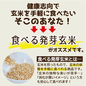 SZ0211　【ちっちゃな農家の大きな夢】 手軽に玄米を！ 食べる発芽玄米 30g×4袋