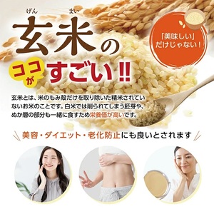 SZ0211　【ちっちゃな農家の大きな夢】 手軽に玄米を！ 食べる発芽玄米 30g×4袋