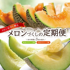 SE0507 【3回定期便】メロン好きに贈る メロンづくしの定期便2026(2) (甘えんぼう、しっかり娘、アールスメロン)