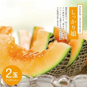 SE0507 【3回定期便】メロン好きに贈る メロンづくしの定期便2026(2) (甘えんぼう、しっかり娘、アールスメロン)