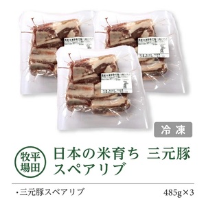 SA2001　【平田牧場】日本の米育ち 三元豚 スペアリブ　485g×3パック