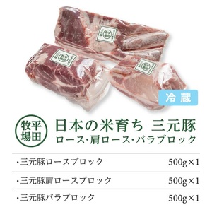 SC0431　【平田牧場】日本の米育ち 三元豚 ブロック肉3種セット　計1.5kg(ロース、肩ロース、バラ 各500g)