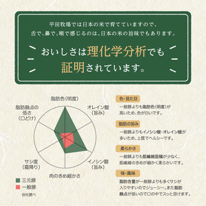 SC0510　【平田牧場】日本の米育ち 三元豚 肩ロース塩麹漬け　100g×12パック