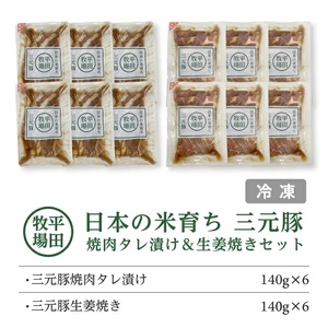 SC0511　【平田牧場】日本の米育ち 三元豚 焼肉タレ漬け＆生姜焼き2種セット　計12パック(各140g×6パック)