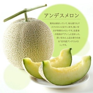SC0678 特選 庄内産 アンデスメロン 約8kg(青肉/5~6玉入つる付)
