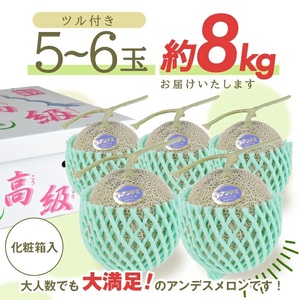 SC0678 特選 庄内産 アンデスメロン 約8kg(青肉/5~6玉入つる付)