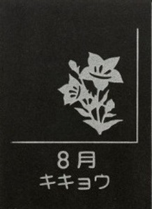 SE0263　天然黒御影石 スクエアプレート　1枚　【誕生花彫刻（8月キキョウ）】