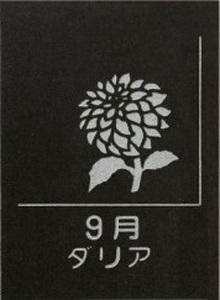 SE0264　天然黒御影石 スクエアプレート　1枚　【誕生花彫刻（9月ダリア）】