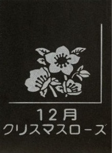 SE0267　天然黒御影石 スクエアプレート　1枚　【誕生花彫刻（12月クリスマスローズ）】