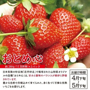 SC0567　【2回定期便】自然の恵み　春・夏フルーツ定期便2025 (いちご、青肉メロン)