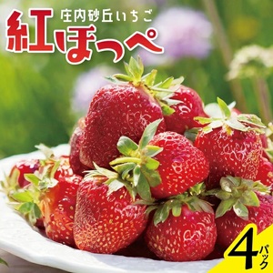 SA2537　庄内砂丘いちご 「紅ほっぺ」　約270g×4パック　農家直送