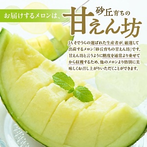 SZ0324　砂丘育ちの甘えんぼう「青肉メロン」　計3.2kg以上(2玉入つる付き)
