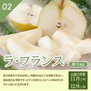 SE0510　【3回定期便】庄内産 洋梨3種味比べ定期便2026 (洋梨〔品種おまかせ〕 、ラ・フランス、シルバーベル/各約3kg)