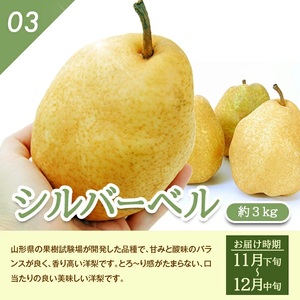 SE0510　【3回定期便】庄内産 洋梨3種味比べ定期便2026 (洋梨〔品種おまかせ〕 、ラ・フランス、シルバーベル/各約3kg)