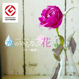 SL0198 水のいらない花 ゼロフラワー「バラ一輪挿し」 | 山形県酒田市