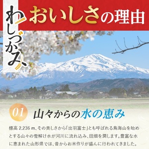 SA2046　12月上旬配送／【無洗米】わしづかみ　15kg(5kg×3袋)　山形県産100% 複数原料米 AG