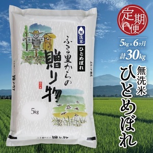 SG0050　【6回定期便】令和6年産 無洗米 ひとめぼれ　5kg×6回(計30kg) KN