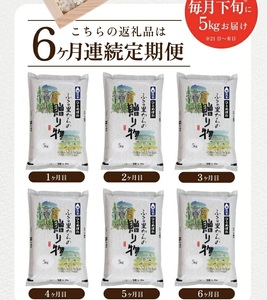 SG0050　【6回定期便】令和6年産 無洗米 ひとめぼれ　5kg×6回(計30kg) KN