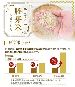 SA2835 令和7年産【胚芽米】はえぬき 5kg×1袋 YA