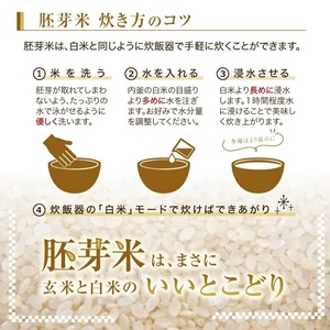 SA2835 令和7年産【胚芽米】はえぬき 5kg×1袋 YA