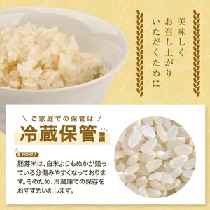 SA2835 令和7年産【胚芽米】はえぬき 5kg×1袋 YA