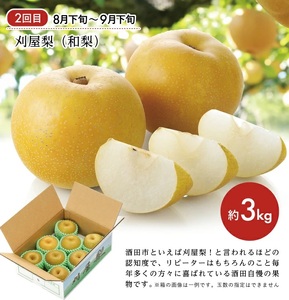 SE0487 【3回定期便】庄内の美味しい果物お届け便2026 (小玉すいか、刈屋梨、庄内柿)